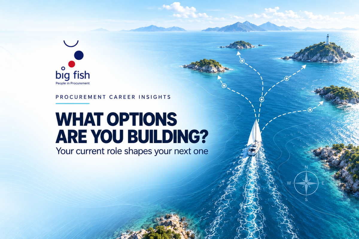 Procurement Career: Is Your Current Role Expanding Your Future Options? | BIG FISH S.C.