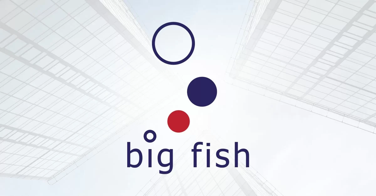 Ankieta Big Fish Polska dla pracowników działu zakupów | BIG FISH S.C.