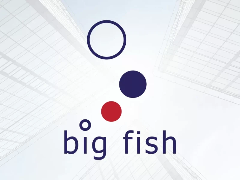 Ankieta Big Fish Polska dla pracowników działu zakupów