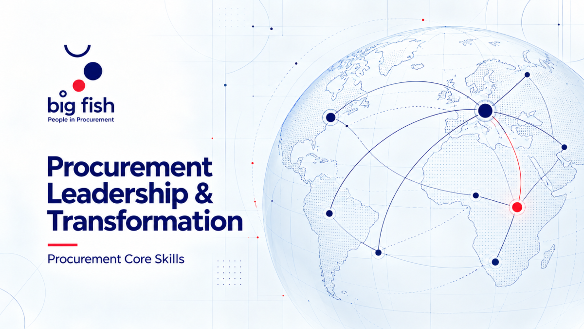 Procurement Leadership & Transformation | BIG FISH S.C.