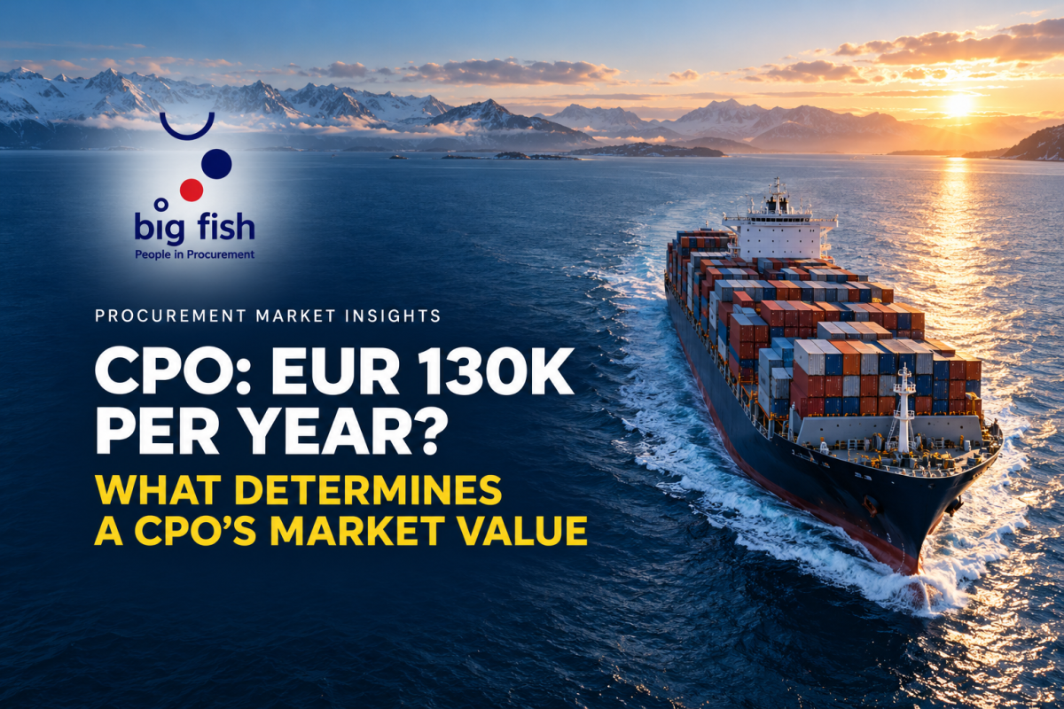 How Much Does a CPO Earn, and What Determines Their Market Value? | BIG FISH S.C.