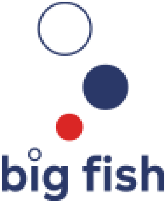 VUCA o co chodzi ? ZachÄcam do â PrzywÃ³dztwo w Åwiecie VUCA | BIG FISH S.C.