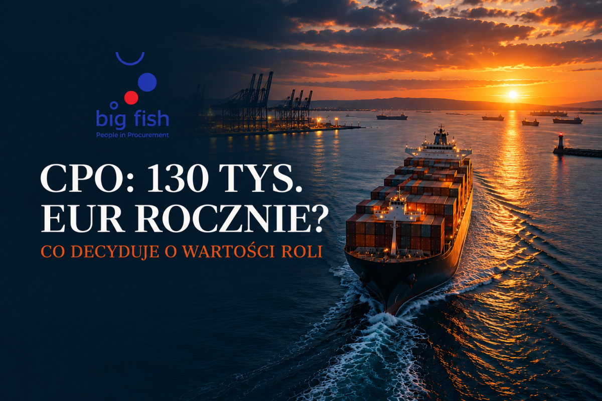 Ile zarabia CPO i od czego zaleÅ¼y jego wartoÅÄ rynkowa? | BIG FISH S.C.