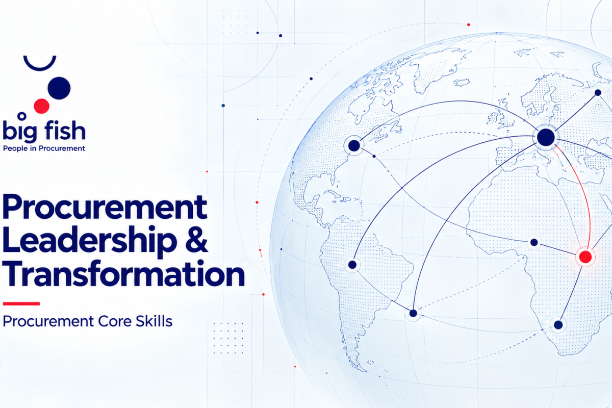 Procurement Leadership & Transformation | BIG FISH S.C.