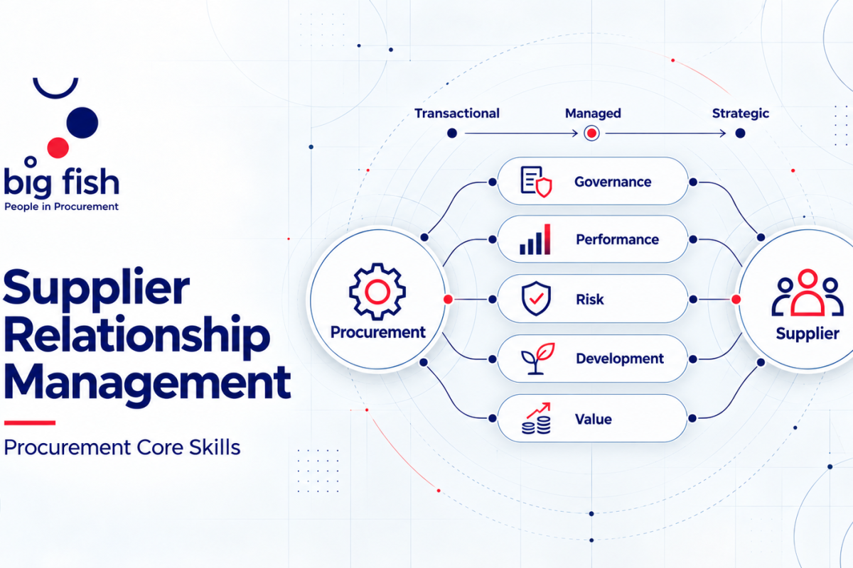 Supplier Relationship Management | BIG FISH S.C.