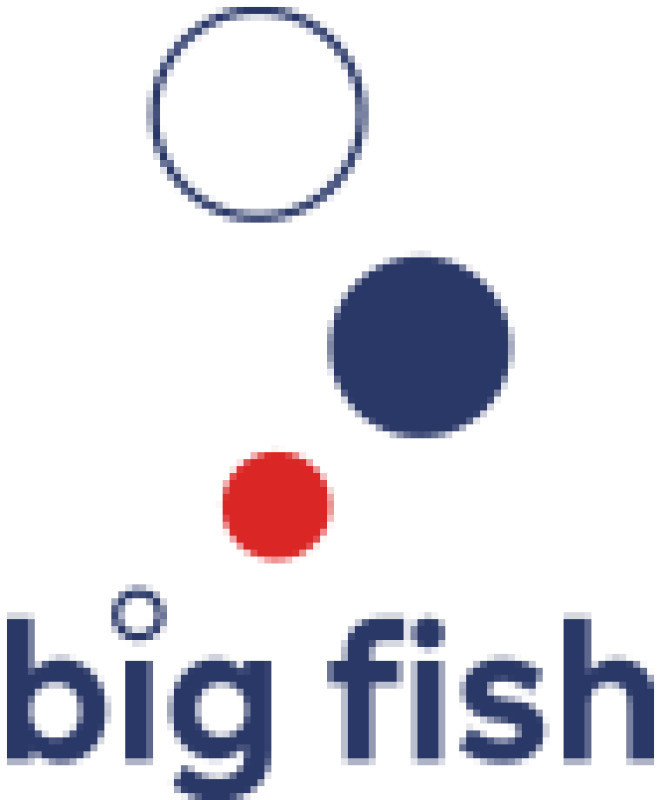 âZÅe decyzje zakupowe. BÅÄdy, ktÃ³re mogÄ kosztowaÄ TwojÄ firmÄ milionyâ | BIG FISH S.C.